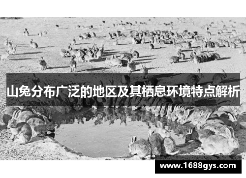 山兔分布广泛的地区及其栖息环境特点解析 山兔分布广泛的地区及其栖息环境特点解析